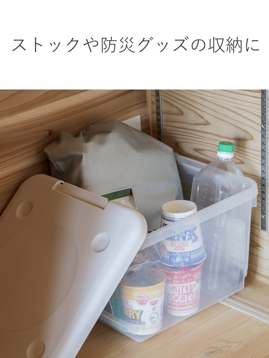 天馬 収納ボックス 35M とっても便利箱 フタ付き 2個セット （ 幅35