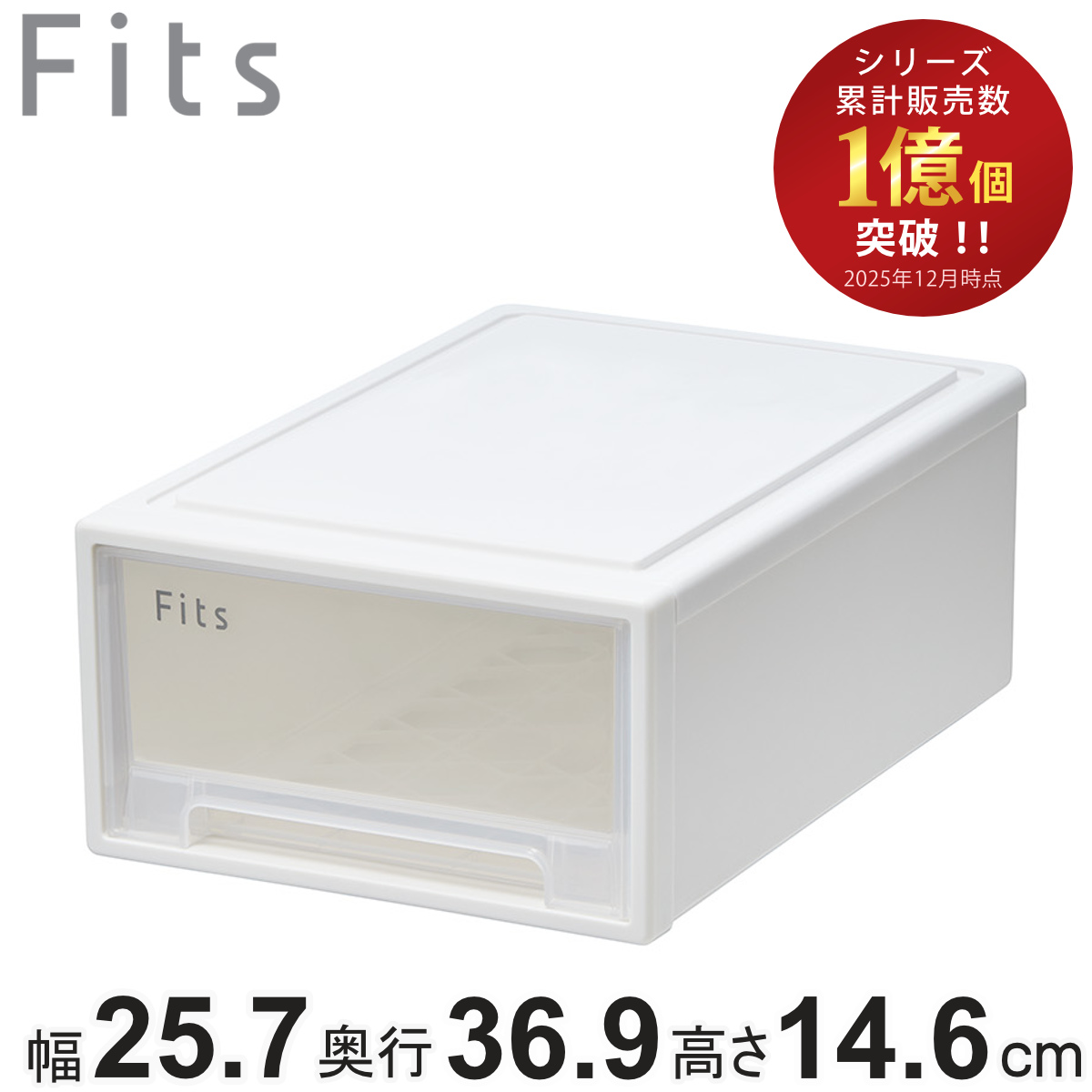 Fits 収納ケース 2個セット 幅35×奥行55×高さ25cm フィッツケース