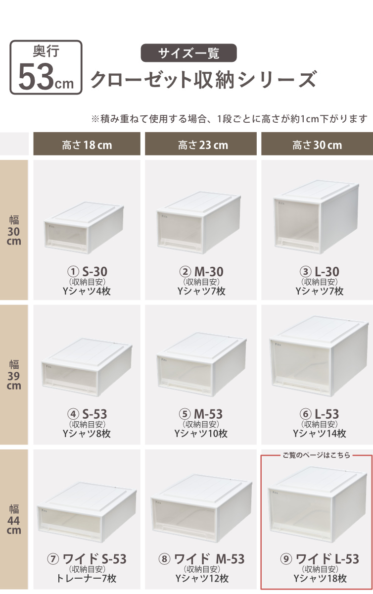 Fits 収納ケース フィッツ フィッツケース クローゼット ワイド L-53 2