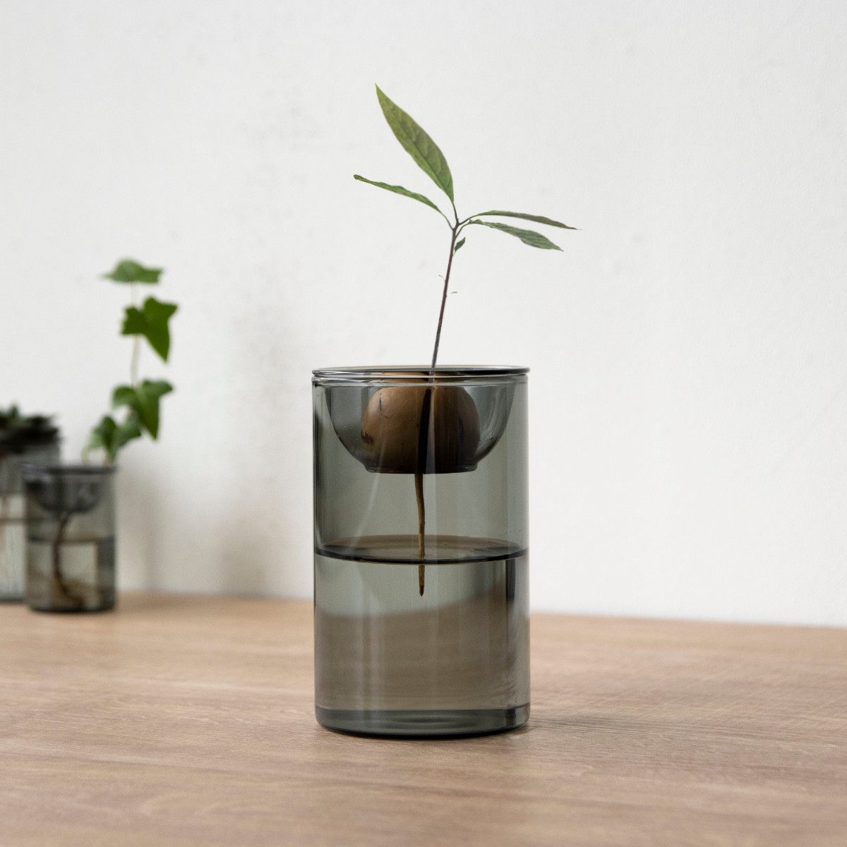 花瓶 BULB VASE 水栽培ガラスベース ショート 水耕栽培 （ 花器 ガラス