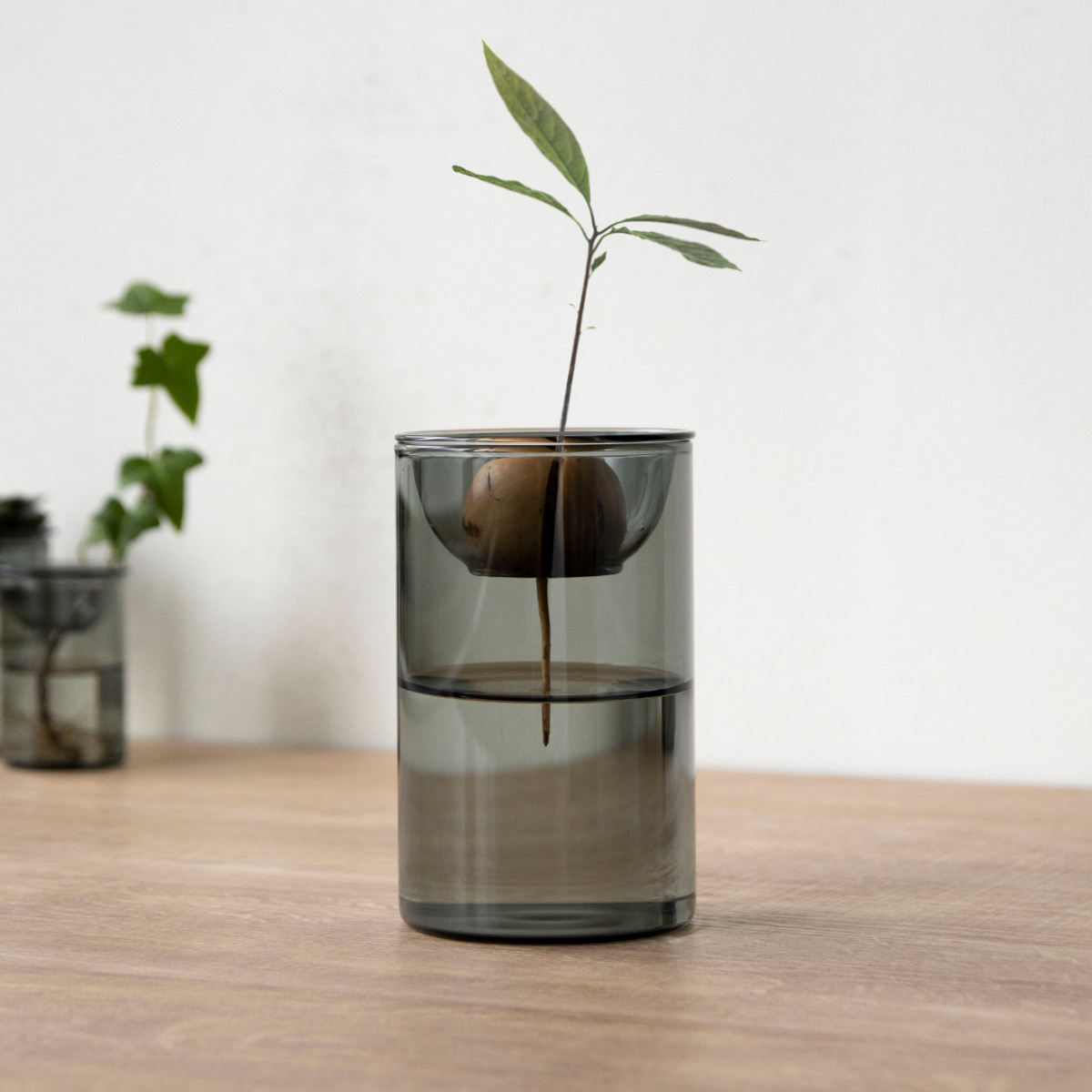 花瓶 BULB VASE 水栽培ガラスベース ショート 水耕栽培 （ 花器 ガラス