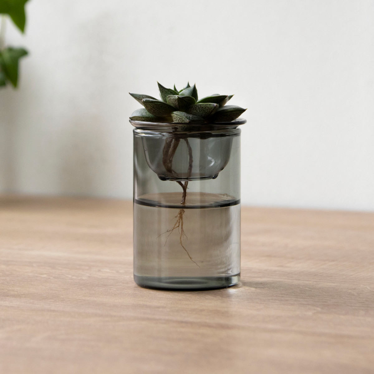 花瓶 MINI BULB VASE 水栽培ガラスベース 8.5cm 水耕栽培 （ 花器