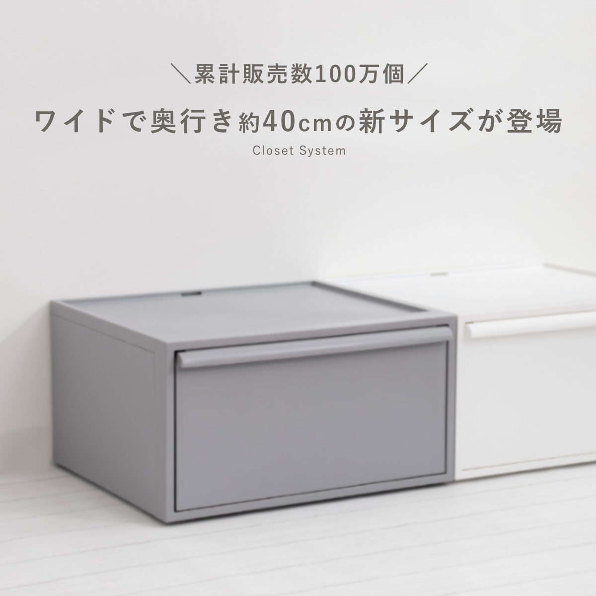 特典付き 収納ケース クローゼットシステム ワ...の詳細画像1