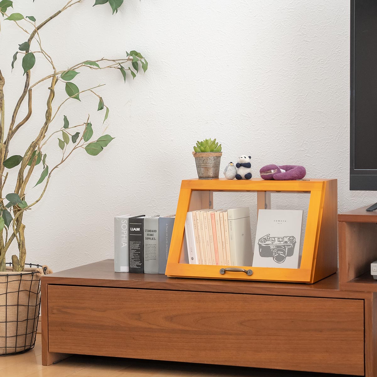 HAGiHARA（萩原） ガラスケース 幅40cm 1段 カウンター上収納 ラック