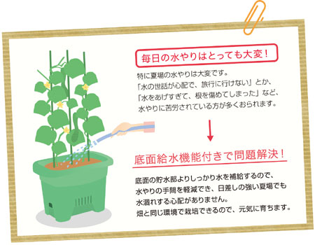 プランター 水ラク 緑のカーテンプランター 8...の詳細画像3