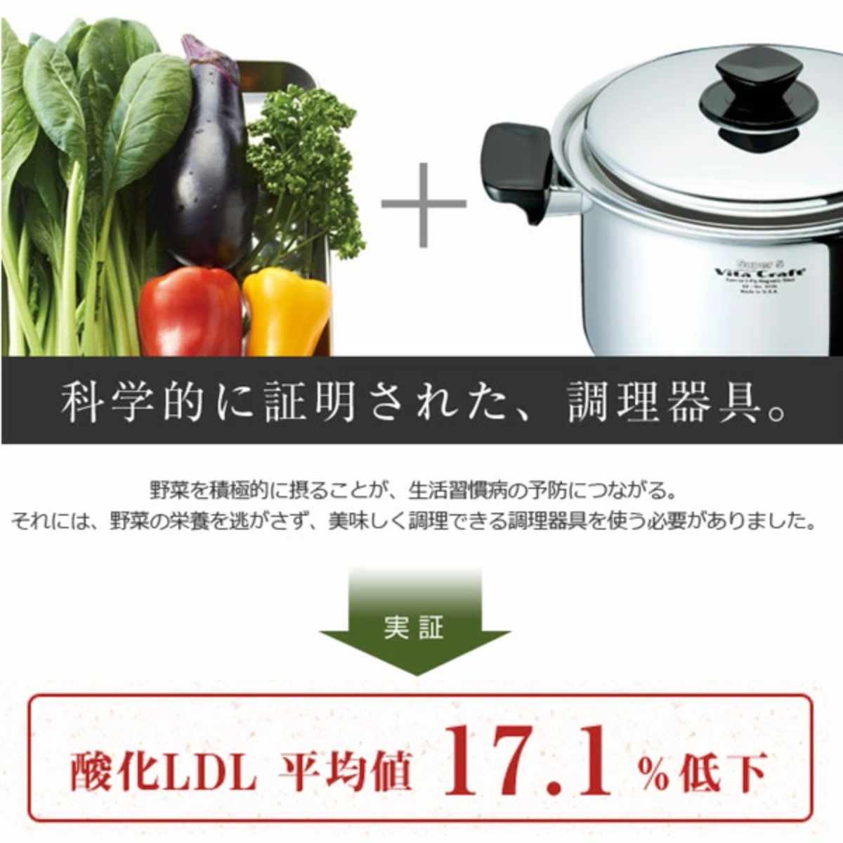 Vita Craft（ビタクラフト） マルチパン 21cm IH対応 1.8L No.4853