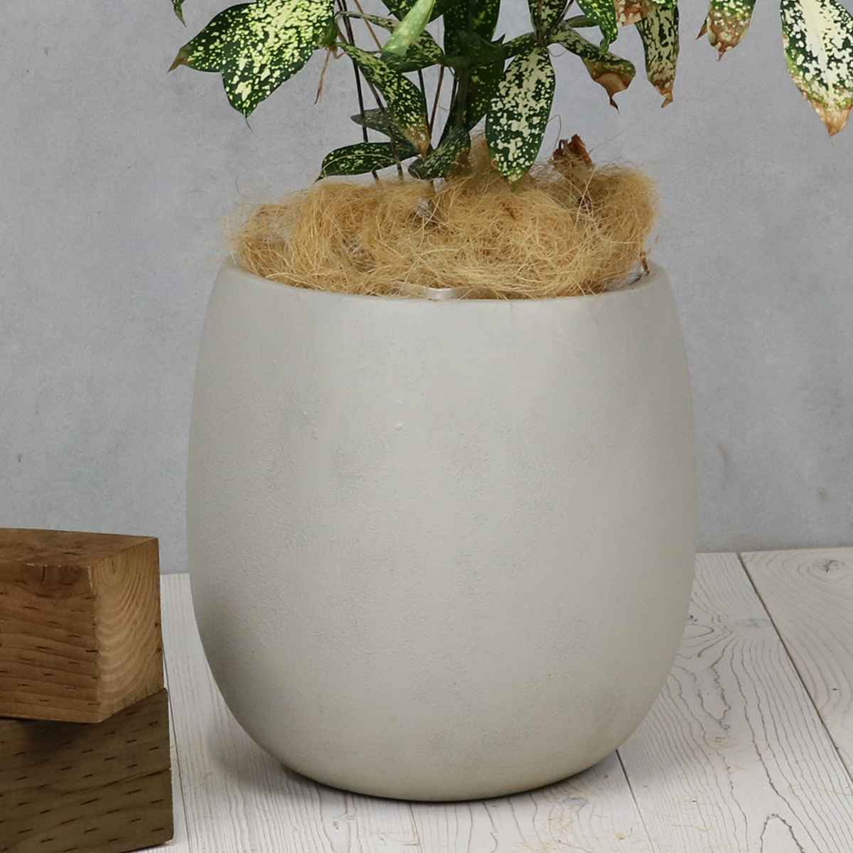 鉢、プランターカバー｜園芸用品｜花、ガーデニング おすすめ人気商品