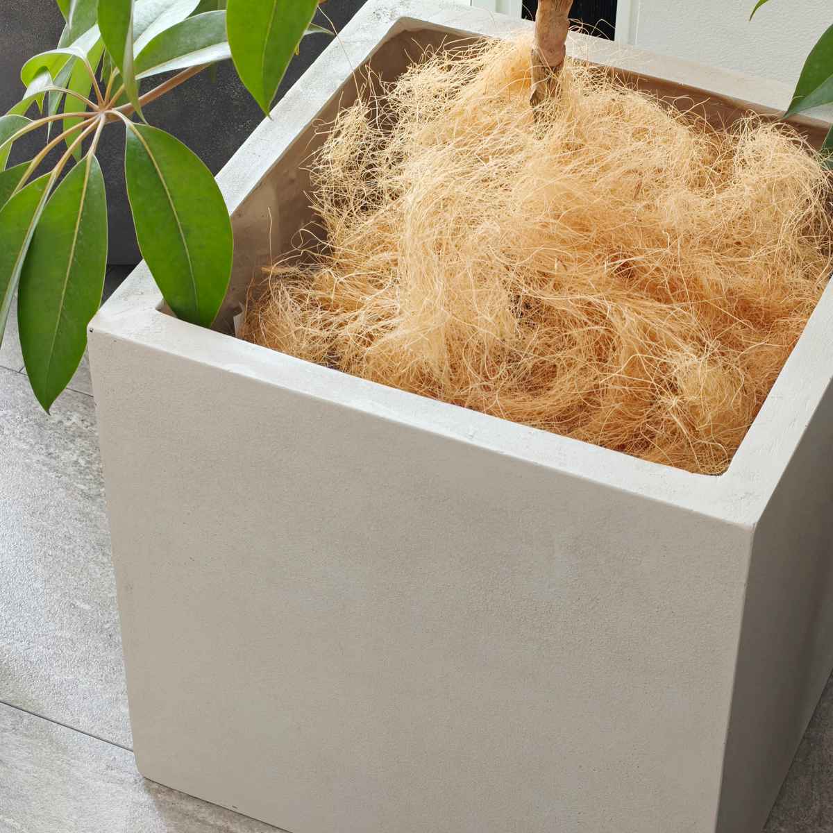 プランター グリッテ 石調FRPプランター 幅40cm 角型 （ プランターカバー スクエア 植木鉢 鉢 底穴 屋外 外 家庭菜園 寄せ植え おしゃれ ）の画像