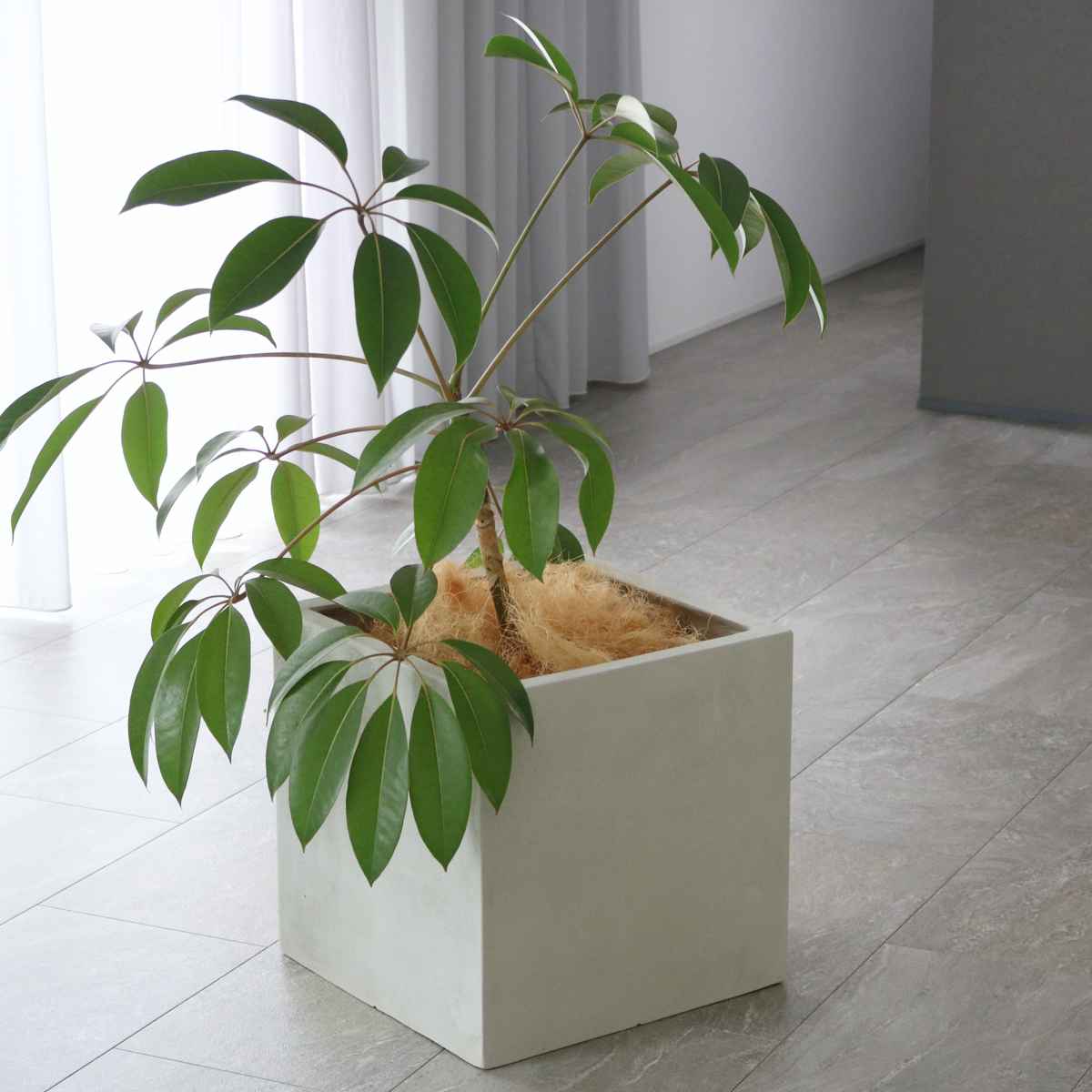 プランター グリッテ 石調FRPプランター 幅40cm 角型 （ プランターカバー スクエア 植木鉢 鉢 底穴 屋外 外 家庭菜園 寄せ植え おしゃれ ）の画像