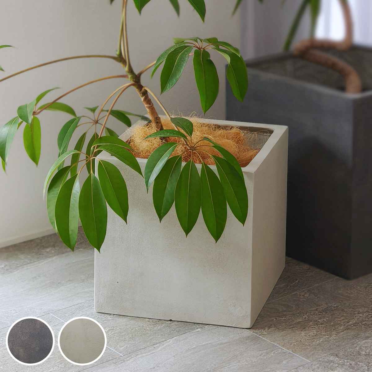 [未使用]プランター 植木鉢 FRP製 楽天市場】植木鉢 大型 おしゃれ 人気 プランター FRP 園芸鉢 観葉鉢