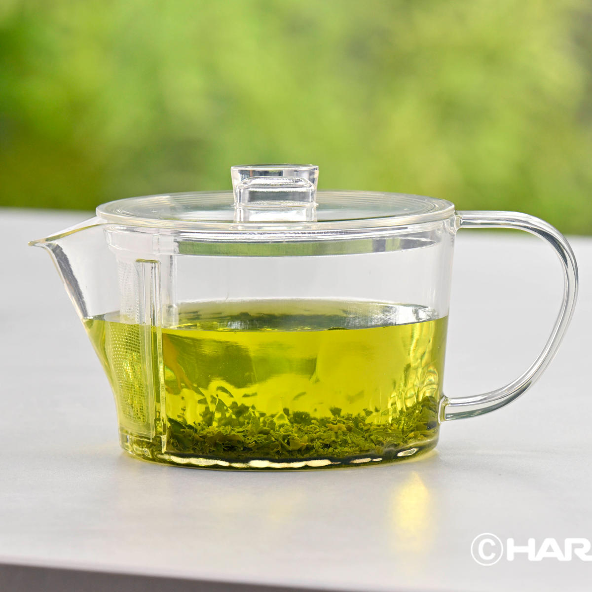 HARIO �t�B���^�[�C���}�{ �� �i �n���I �e�B�[�|�b�g �}�{ 450ml 3�`4�l�p BPA�t���[ �g���C�^�� �H��@�Ή� �j