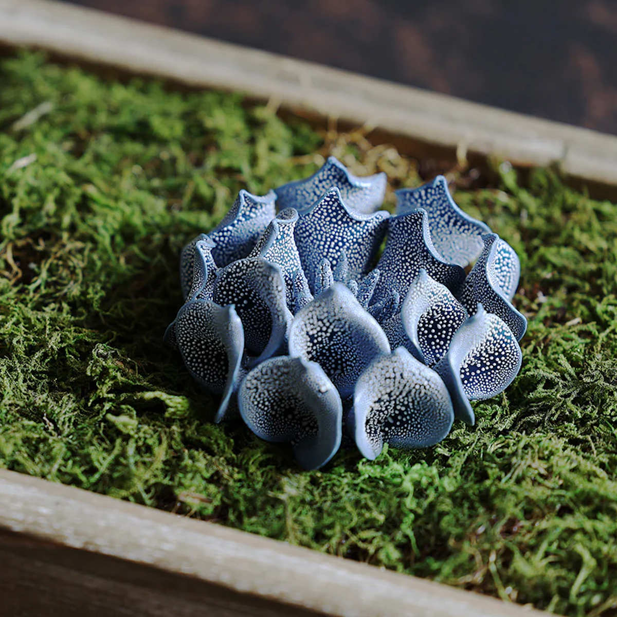magnet オブジェ 壁掛け ABYSSAL 666 花 植物 造花 （ 置き物 雑貨