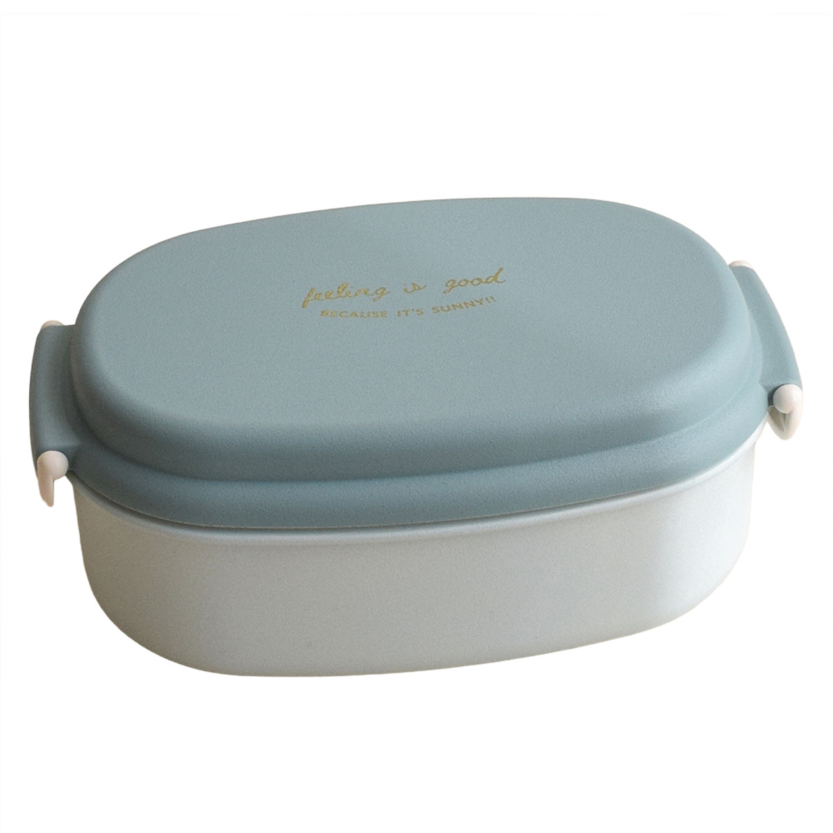 弁当箱 600ml FIG 塗1段ランチボックス （ お弁当箱 ランチボックス 食