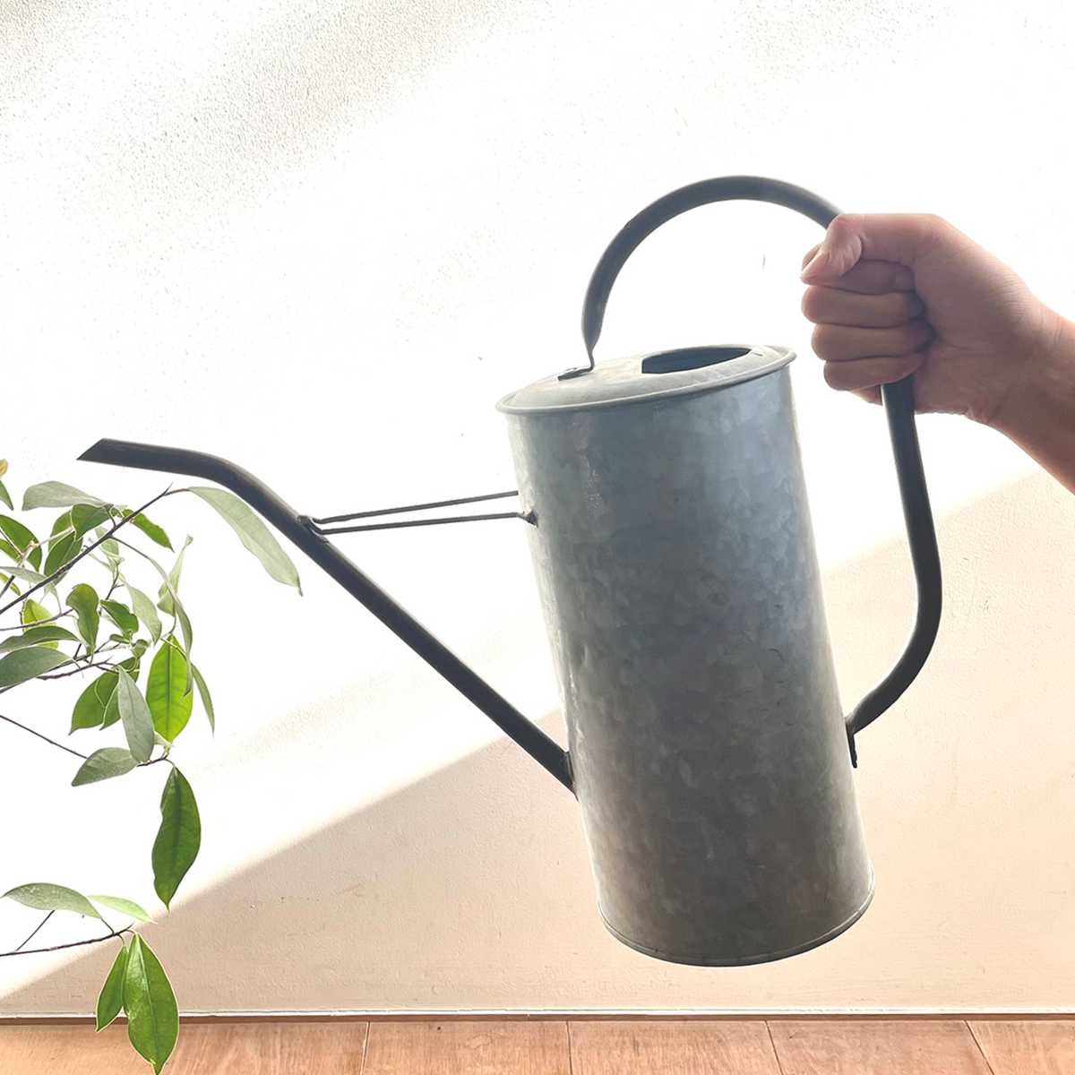 ブリキ ジョーロ」の人気商品一覧 | 安い商品を通販サイトから探す