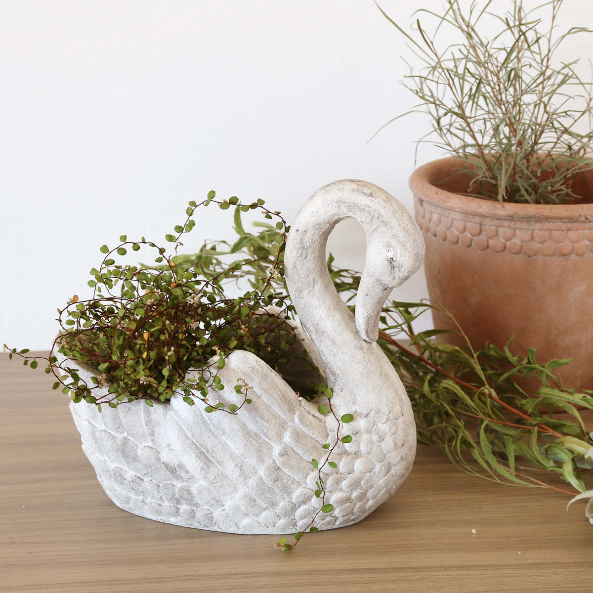 植木鉢 スワンポット S （ プランターカバー スワン ポット 鉢 屋外 外 家庭菜園 寄せ植え おしゃれ ）の画像