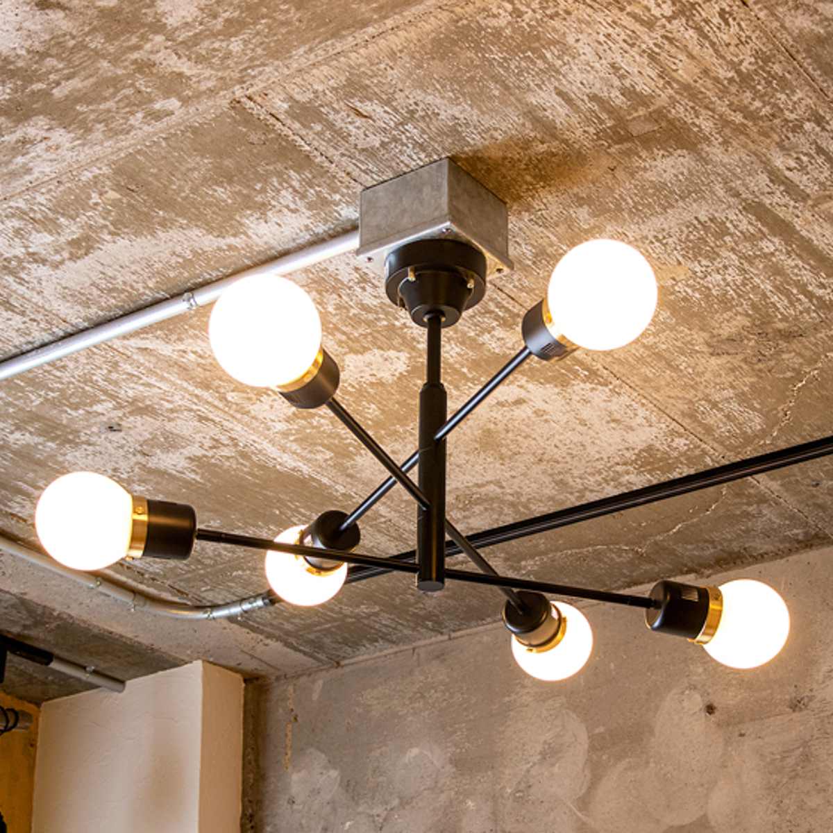 �V�[�����O���C�g 6�� 12���p LED�d���t�� �f�{�� �����R���t�� gram eight �O�����G�C�g �i �V��Ɩ� �Ɩ� �Ɩ���� �d�C ���C�g �j
