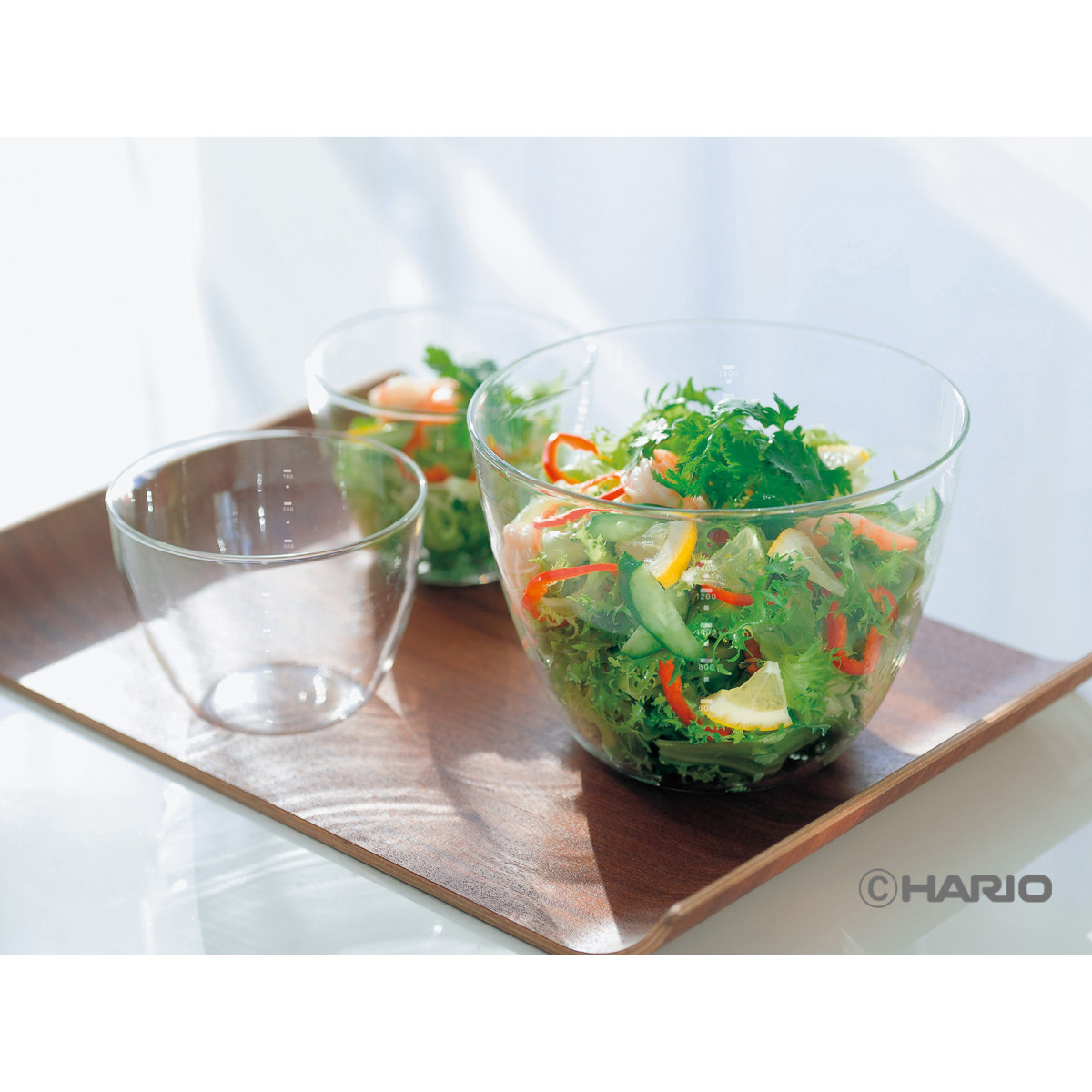 HARIO（ハリオ） 保存容器 カルボウル 耐熱ガラスkaruボウル 2個セット