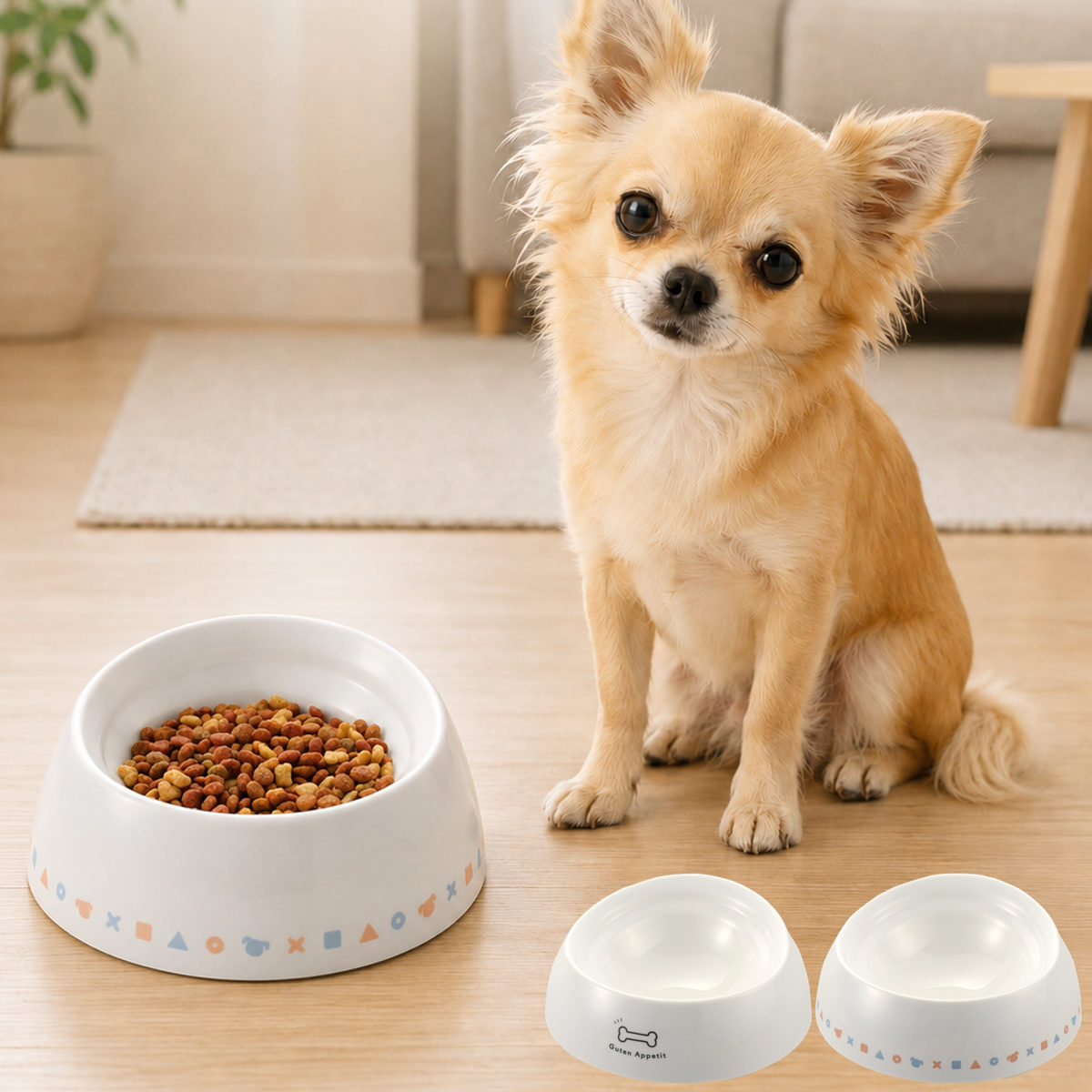ペット食器 ワンちゃんの食べやすい食器 SS 浅型 （ リッチェル ペットボウル 脚付き 高さがある 犬用 ペット用 餌皿 エサ皿 食べやすい ）