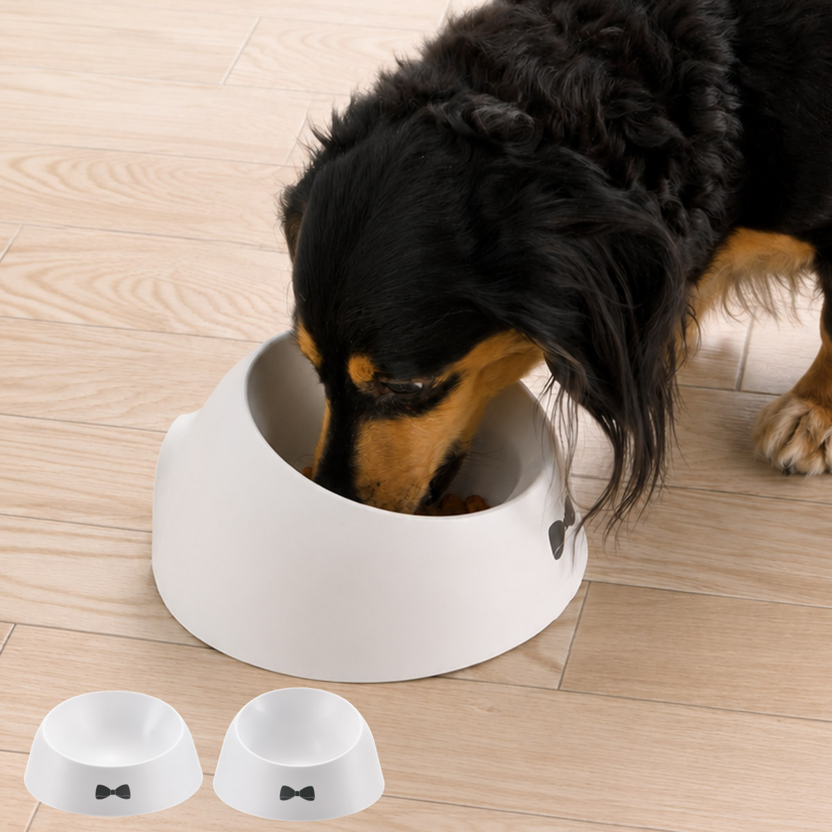 ペット食器 乾きやすい食器 S （ 食器 エサ皿 餌皿 ペット用 犬用食器 斜め 傾斜 食洗機対応 リッチェル ）