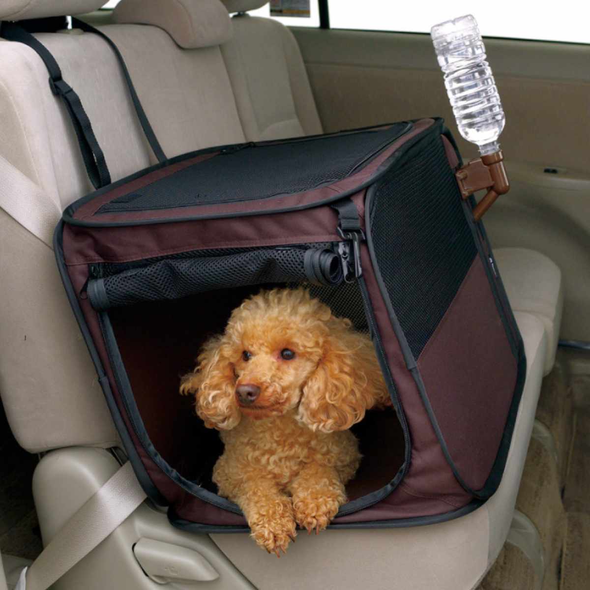 リッチェル たためるドライブペットケージ L (犬用キャリーバッグ