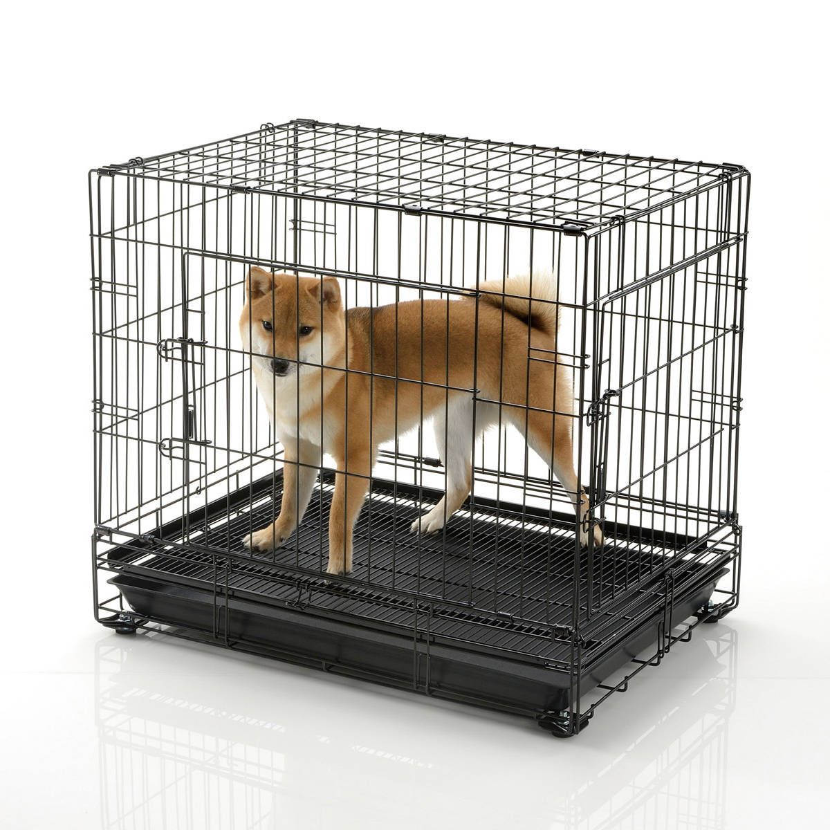 リッチェル　ペット　ケージ　大型犬 リッチェル プロフェッショナルペットケージ L (犬小屋・ケージ) 価格