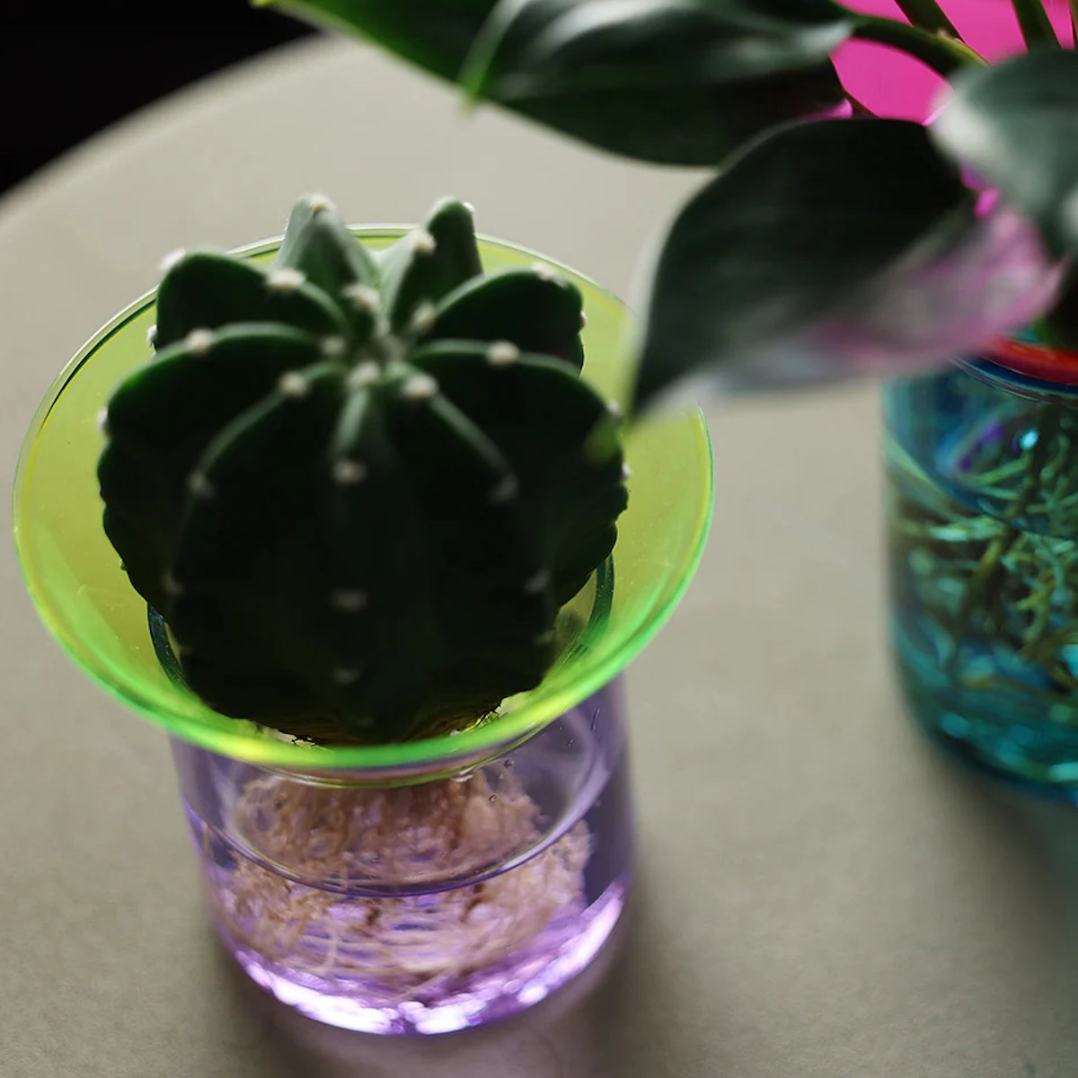 magnet フラワーベース GLOW GROW MOON SPROUT ガラス （ 花ビン