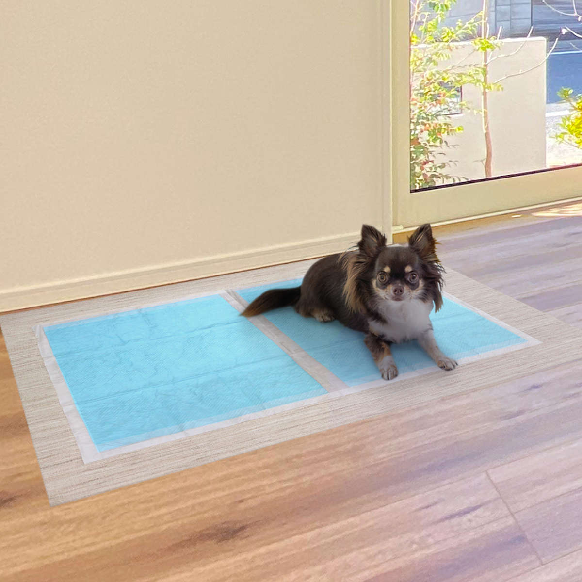 ズレ防止シート ペット 両面ズレ防止 80cm×100cm 滑り止め 防水 ペットシーツ （ シート マット ズレ防止 防水シート 消臭 洗える ）
