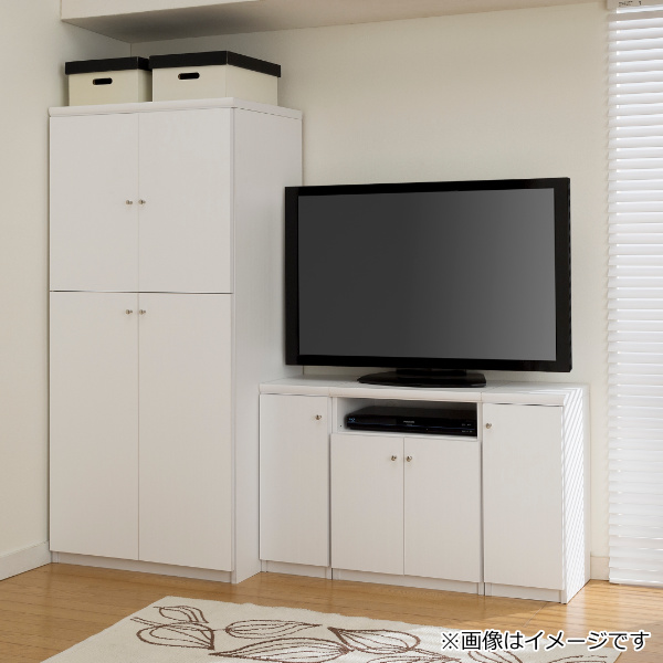 オーダー本棚用扉 高さ60cm 幅45-59cm type60 （ オーダーメイド セミ
