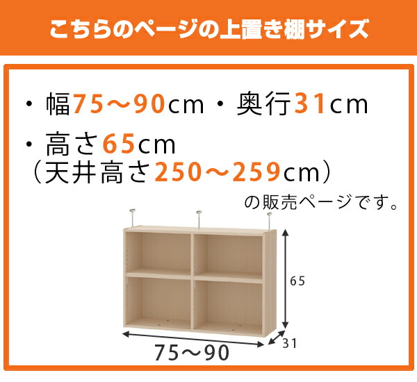 上置き棚 高さ65cm ワイドタイプ用 幅75-90cm 奥行き31cm 対応 （ 天井高さ250-259cm オーダー本棚 収納棚 Type65 ）の画像