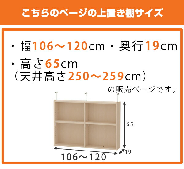 上置き棚 高さ65cm ワイドタイプ用 幅106-120cm 奥行き19cm 対応 （ 天井高さ250-259cm オーダー本棚 収納棚 Type65 ）の画像
