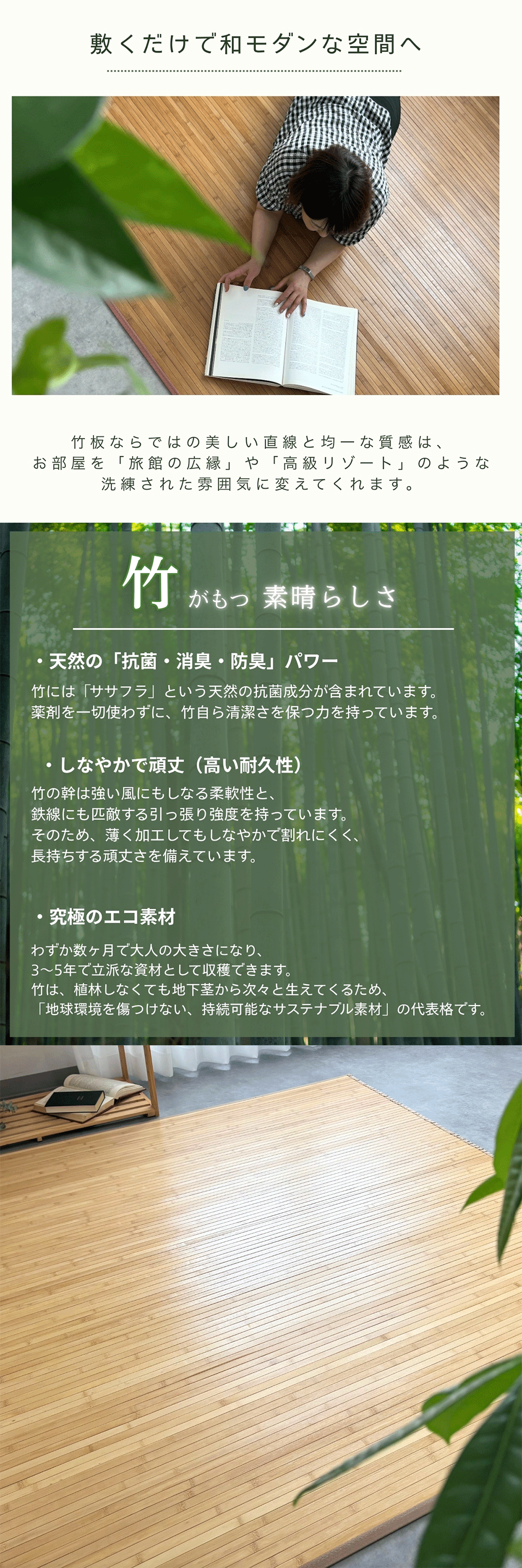 竹ウッディ(3)