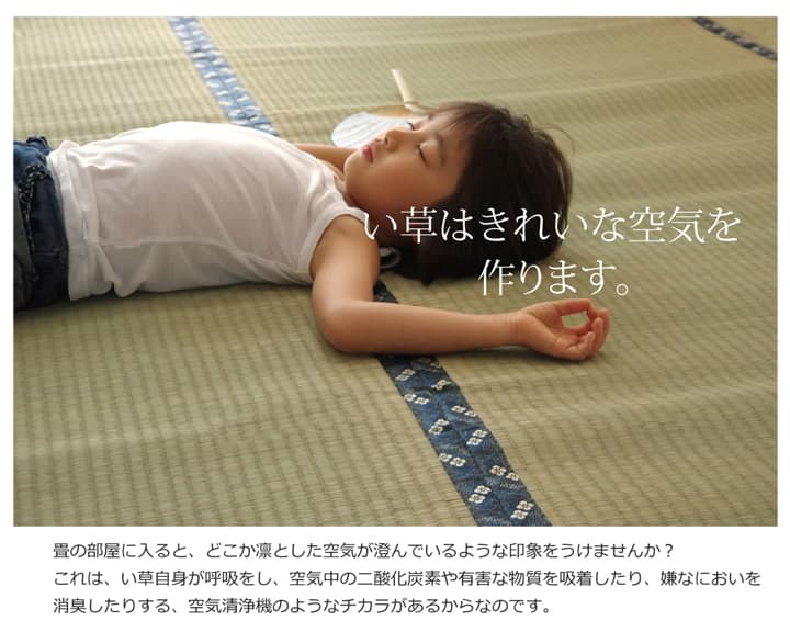純国産 い草 上敷き カーペット 糸引織 『梅花』 六一間4.5畳(約277×277cm）