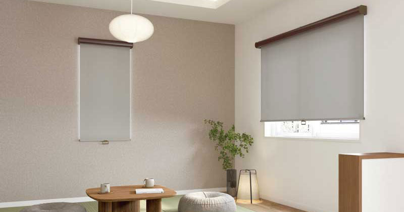 ドナ 24tsrs-tr6187r.jpg