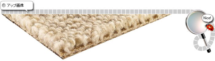 カーペットのアップ画像