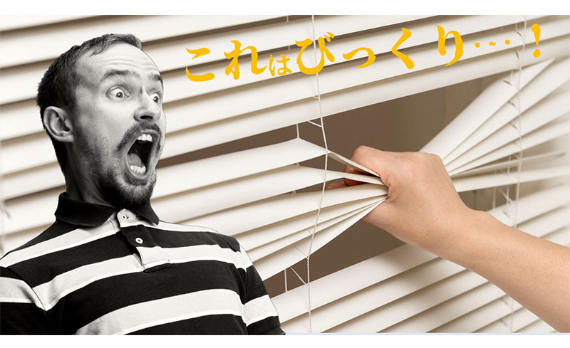 しなやかなブラインド