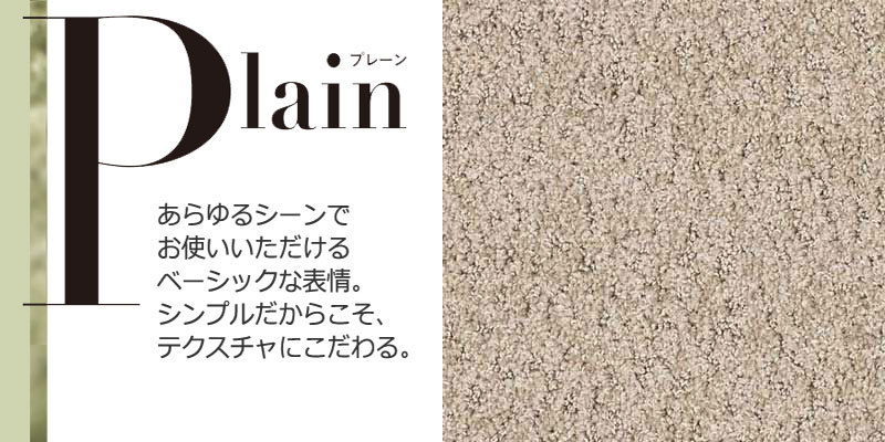 カーペットの色