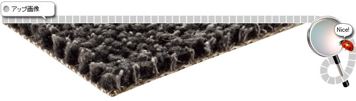 カーペットのアップ画像