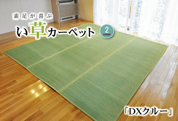 い草花ござ カーペット 『DXクルー』 ブルー 本間4.5畳(約286.5×286cm) (裏:不織布)｜interiorkataoka