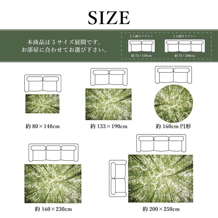 日本最大級 ウィルトンカーペット ウィルトン織り グリーン 約200×250cm 抗菌防臭 トルコ製 propcrowdy.com