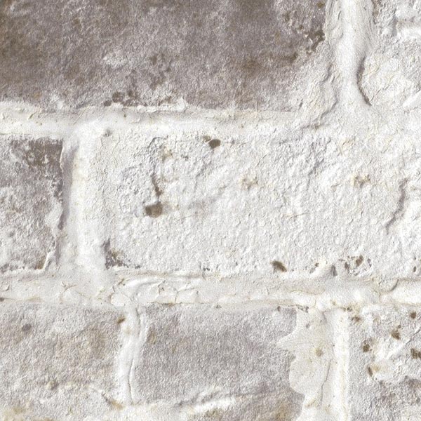 �y10���ȏ�w���ő��������z�ǎ� �N���X �����J�� will �E�B�� LW-259 10m�ȏ�1���P�ʂŔ̔�