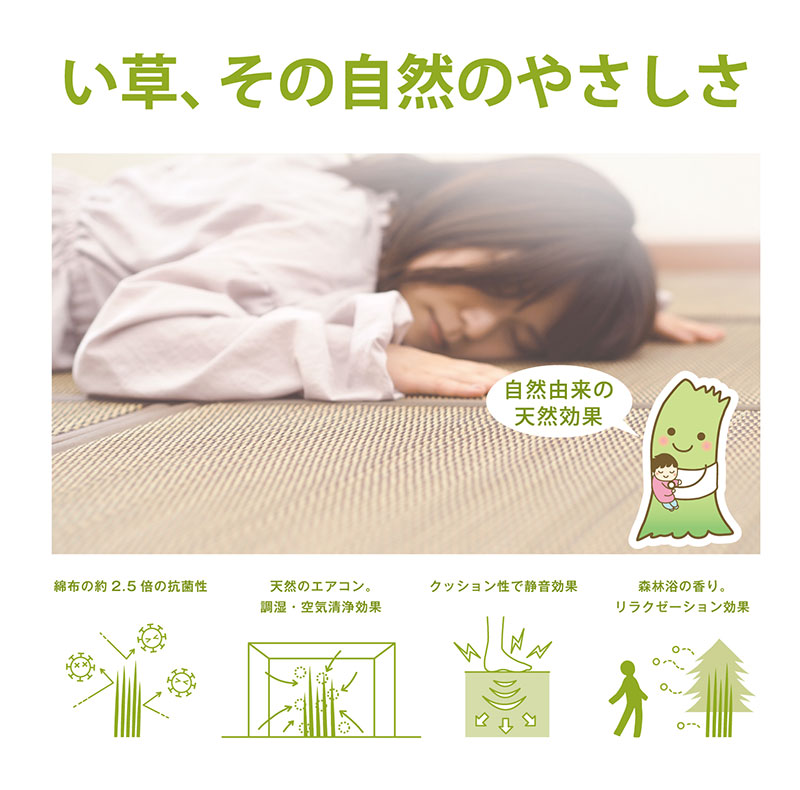 【送料無料】快適健康生活！日本製三つ折り畳み 70x210x1.5 BR｜interiorkataoka｜05