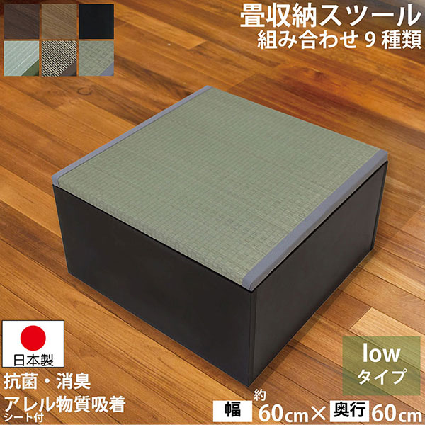 【送料無料】快適健康生活！畳収納ボックス ロータイプ 樹脂製 60x60x32 BK