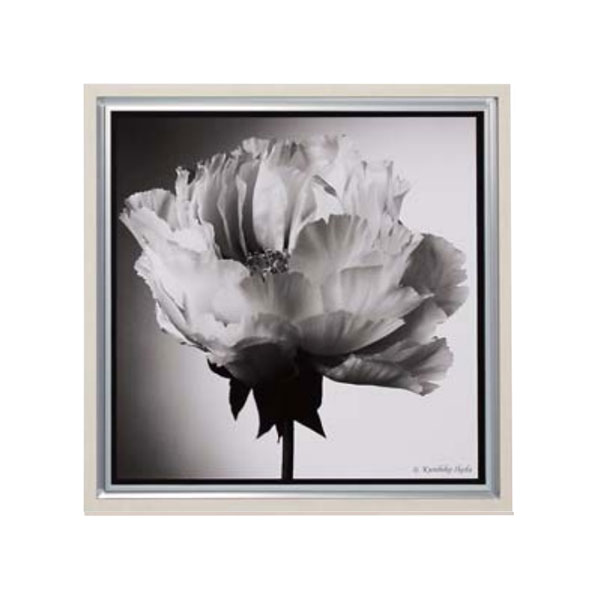 インテリアフレーム アートパネル スマート写真アート AR7145 池田 邦彦/スタイリッシュフラワー 05