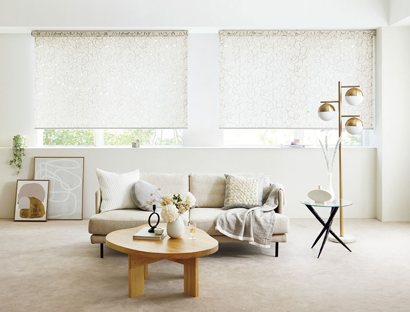 タチカワブラインド ロールスクリーン ラルクシールド ビアンカ RS