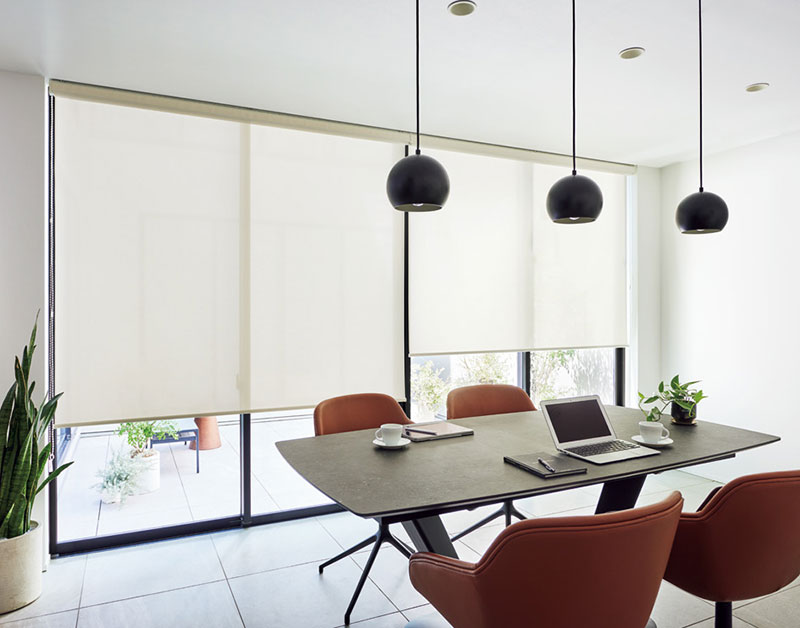 タチカワブラインド ロールスクリーン ラルクシールド ノートス RS