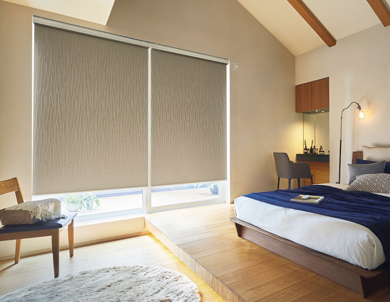 タチカワブラインド ロールスクリーン ラルクシールド ヴェルタ遮光 RS