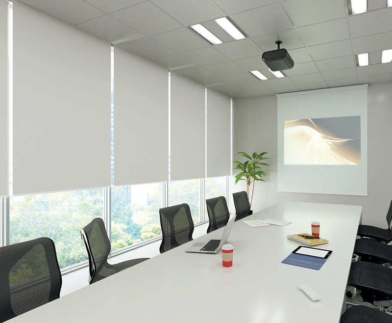 タチカワブラインド ロールスクリーン ラルクシールド フェアII遮光 RS