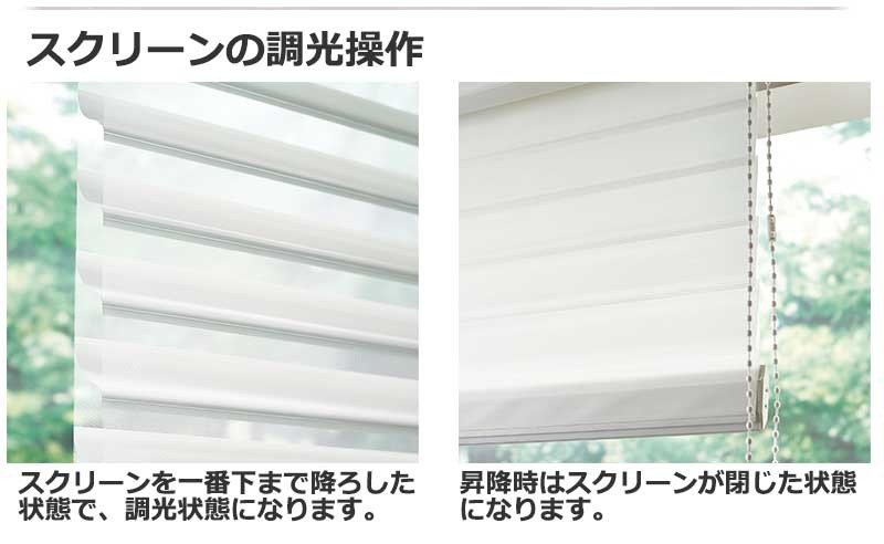 光をコントロールする「ラクーシュ」