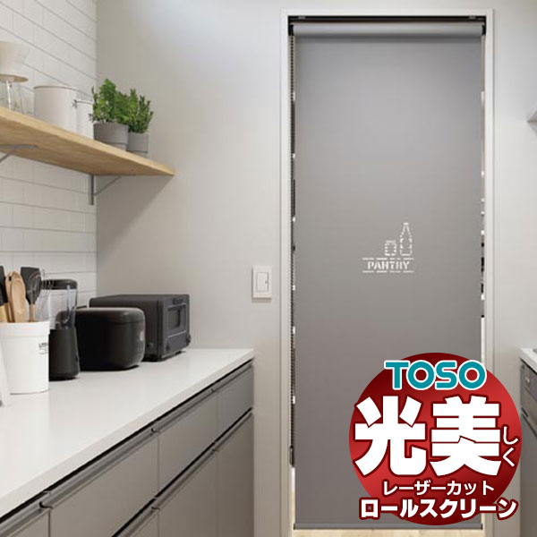 レーザーカット ロールスクリーン トーソー ルノプレーン TR-6001〜TR-6024 TYPE423 幅2000×高さ2800mm