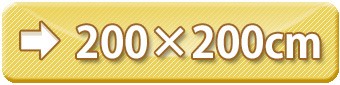 饰200200cm